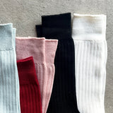 4-1002｜Organic Cotton Ribbed Socks